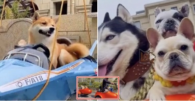 Con Sen chơi lớn, chi hẳn 1 tỷ để xây lâu đài cho các Boss: “Nhìn thành quả CDM thán phục không ngơi” Con Sen chơi lớn, chi hẳn 1 tỷ để xây lâu đài cho các Boss: “Nhìn thành quả CDM thán phục không ngơi”