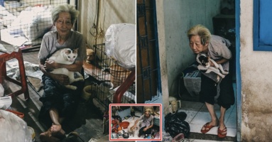 Nể phục cụ bà U90 cưu mang hàng trăm chó mèo, trạm cứu hộ ngỏ ý nhận bớt mà vẫn không cho: “Tui coi tụi nó như con sao bỏ được” Nể phục cụ bà U90 cưu mang hàng trăm chó mèo, trạm cứu hộ ngỏ ý nhận bớt mà vẫn không cho: “Tui coi tụi nó như con sao bỏ được”