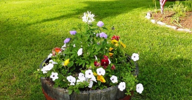 14 Fascinating Ways Of Using Barrels As A Garden Decoration 14 Fascinating Ways Of Using Barrels As A Garden Decoration