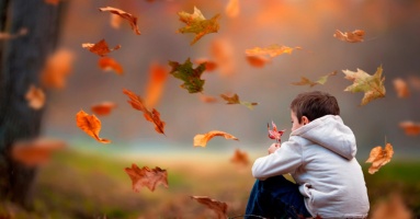Ai cũng mải miết theo đuổi hạnh phúc mà quên mất rằng trên đời còn có những thứ quan trọng hơn