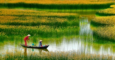 Một thoáng quê hương: Không nơi nào bằng quê hương Việt Nam tươi đẹp Một thoáng quê hương: Không nơi nào bằng quê hương Việt Nam tươi đẹp