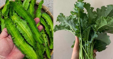 9 loại rau rất giàu canxi, vượt xa cả sữa và canh xương hầm: Không biết mà ăn quá phí 9 loại rau rất giàu canxi, vượt xa cả sữa và canh xương hầm: Không biết mà ăn quá phí