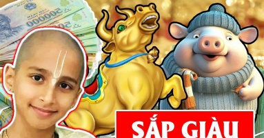 Bùng nổ tiền tài: 3 tuổi này chấm hết vận nghèo, đổi đời giàu to trong 3 tháng cuối 2023 Bùng nổ tiền tài: 3 tuổi này chấm hết vận nghèo, đổi đời giàu to trong 3 tháng cuối 2023