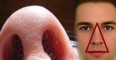 Thói quen cắt, nhổ lông mũi có hại hay vô hại: Bác sĩ Mỹ giải thích cực chuẩn, ai cũng phục Thói quen cắt, nhổ lông mũi có hại hay vô hại: Bác sĩ Mỹ giải thích cực chuẩn, ai cũng phục