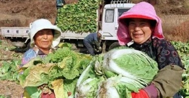 Du học sinh Việt sang Hàn Quốc làm nghề “lạ“ kiếm gần 2 triệu/ngày, vất vả đến mức ngất xỉu nhưng “cái được“ không thể đong đếm bằng tiền