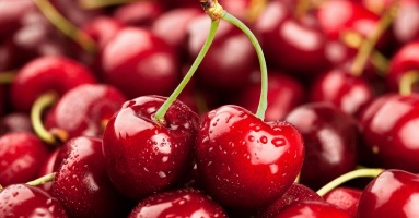 Trồng cherry tại nhà cho quả sai trĩu cành, ăn quanh năm không hết Trồng cherry tại nhà cho quả sai trĩu cành, ăn quanh năm không hết