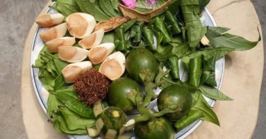 Loại quả người Mỹ, Canada cấm ăn vì ung thư còn người Việt lại mời nhau ăn thật nhiều Loại quả người Mỹ, Canada cấm ăn vì ung thư còn người Việt lại mời nhau ăn thật nhiều