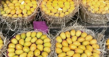 Một loại quả của Việt Nam khiến cựu Đại sứ Hoa Kỳ cũng phải xuýt xoa khen ngợi 'ngon nhất thế giới': Trung Quốc, Hàn Quốc cực mê mẩn, xuất khẩu hàng trăm triệu USD