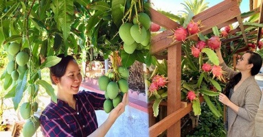 Vợ đảm ở Mỹ khoe vườn 450m2 ngập tràn hoa trái giống Việt, tiết lộ bí quyết 'vàng' để cây đạt năng suất, quả trĩu trịt quanh năm Vợ đảm ở Mỹ khoe vườn 450m2 ngập tràn hoa trái giống Việt, tiết lộ bí quyết 'vàng' để cây đạt năng suất, quả trĩu trịt quanh năm