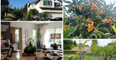 Cận cảnh biệt thự triệu đô 700m2 tại Mỹ của 'chị đẹp' Thu Phương, có cả cây trái quen thuộc ở Việt Nam Cận cảnh biệt thự triệu đô 700m2 tại Mỹ của 'chị đẹp' Thu Phương, có cả cây trái quen thuộc ở Việt Nam