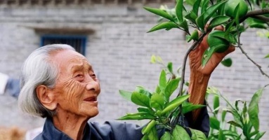 Gia đình phúc ít hay nhiều phụ thuộc 3 người này, nhà bạn có người đó chứ? Gia đình phúc ít hay nhiều phụ thuộc 3 người này, nhà bạn có người đó chứ?