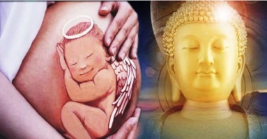 Vì sao đứa trẻ lại muốn đầu thai vào nhà bạn! Dù có con hay không bạn cũng nên đọc Vì sao đứa trẻ lại muốn đầu thai vào nhà bạn! Dù có con hay không bạn cũng nên đọc
