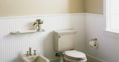 Bạn sẽ không nhìn thấy vòi xịt toilet khi đến Mỹ - vì sao vậy? Bạn sẽ không nhìn thấy vòi xịt toilet khi đến Mỹ - vì sao vậy?