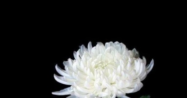 Thiếu nữ bị đánh tử vong Thiếu nữ bị đánh tử vong