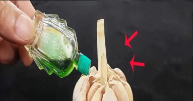 Nhỏ vài giọt dầu gió lên tỏi: Mẹo hay cả nam và nữ đều cần, biết công dụng rồi ai cũng muốn làm thử Nhỏ vài giọt dầu gió lên tỏi: Mẹo hay cả nam và nữ đều cần, biết công dụng rồi ai cũng muốn làm thử
