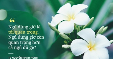 TS Nguyễn Mạnh Hùng: 'Rất nhiều người đang ngủ sai giờ. Họ không biết đường tới nghĩa địa dần ngắn lại' TS Nguyễn Mạnh Hùng: 'Rất nhiều người đang ngủ sai giờ. Họ không biết đường tới nghĩa địa dần ngắn lại'