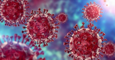 TRỜI ƠI! Australia thừa nhận làm THẤT LẠC 300 lọ virus có thể lấy sự sống con người, ở Việt Nam có đáng lo không TRỜI ƠI! Australia thừa nhận làm THẤT LẠC 300 lọ virus có thể lấy sự sống con người, ở Việt Nam có đáng lo không