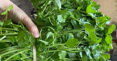 Cả thế giới mở tiệc ăn mừng vì mới phát hiện ra loại rau có khả năng chống ung thư gấp trăm lần thuốc đặc trị , Ở Việt Nam mọc đầy ra Cả thế giới mở tiệc ăn mừng vì mới phát hiện ra loại rau có khả năng chống ung thư gấp trăm lần thuốc đặc trị , Ở Việt Nam mọc đầy ra