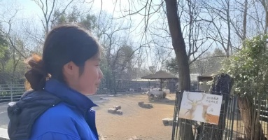 Thạc sĩ Cambridge gây tranh cãi vì 'đi dọn phân'