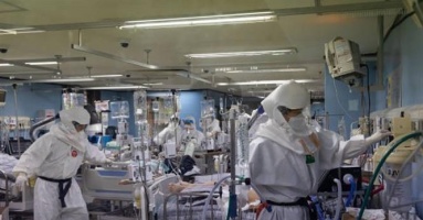 Trung Quốc phát hiện virus mới ở dơi có thể lây sang người giống COVID-19 Trung Quốc phát hiện virus mới ở dơi có thể lây sang người giống COVID-19