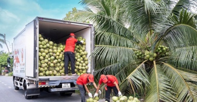 Mỹ tăng nhập rau quả Việt trong quý I Mỹ tăng nhập rau quả Việt trong quý I