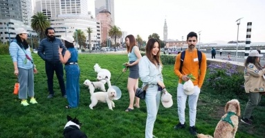 Người San Francisco ngán ngẩm vì bị chó làm phiền ở nơi công cộng Người San Francisco ngán ngẩm vì bị chó làm phiền ở nơi công cộng